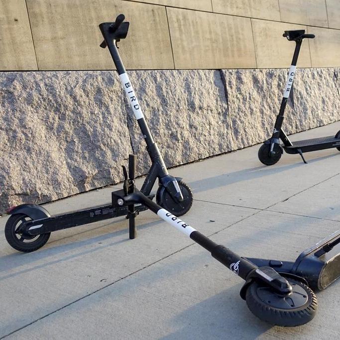 Electric scooter Bird Global steers into bankruptcy protection in bid to repair its finances